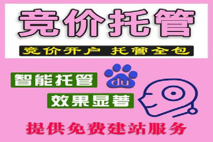 行业案例分析：sem账户托管的成功与挑战